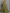 Halter Neck Chiffon Pocket A-Line Maxi Dress