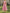 Solid Color Sleeveless Textured Fabric Midi Dress