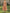 Solid Color Sleeveless Textured Fabric Midi Dress