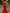 Solid Color Satin One Shoulder Knot Maxi Dress