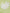 Yellow Green Chiffon V-Neck Maxi Dress