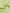 Yellow Green Chiffon V-Neck Maxi Dress