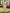 Solid Color Short Sleeved Shirt With Embossed Gold Thread Pattern Maxi Dress