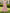 Solid Color Short Sleeved Shirt With Embossed Gold Thread Pattern Maxi Dress