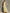 Light Yellow One Shoulder Chiffon Maxi Dress