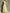 Light Yellow One Shoulder Chiffon Maxi Dress