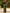 Olive Green Off Shoulder Satin Maxi Dress