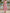 Round Neck Sleeveless 3D Floral Blended Midi Dress
