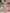 Round Neck Sleeveless 3D Floral Blended Midi Dress