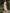 Light Pink Tights Maxi Dress