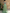 Sage Green Floral Embroidered Off-the-Shoulder Mermaid Maxi Dress