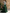 Sage Green Floral Embroidered Off-the-Shoulder Mermaid Maxi Dress
