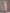 Pink Off Shoulder 3d Floral Tulle Maxi Dress