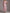 Pink Off Shoulder 3d Floral Tulle Maxi Dress