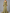 Olive Green Pleated Chiffon Maxi Dress