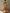 Beige Chiffon Halter Neck Ruched Bodice Maxi Dress