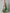 Green Floral Chiffon Halter Neck Maxi Dress