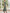Sage Green Off-the-Shoulder Floral Embroidered Tea-Length Mermaid Maxi Dress
