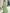 Light Green Off Shoulder Satin Maxi Dress