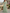 Sage Green Sequin-Embellished Chiffon Maxi Dress