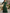 Sage Green Sequin-Embellished Chiffon Maxi Dress