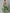 Green Floral Chiffon Halter Neck Maxi Dress