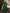 Solid Color Shawl Sleeve Sequined Waist Chiffon Maxi Dress