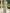 Green Floral Print Chiffon Cape Sleeve Maxi Dress