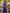 Purple Satin One Shoulder Shawl Sleeve Maxi Dress