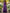 Purple Satin One Shoulder Shawl Sleeve Maxi Dress
