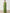 Grass Green Ribbon Pleated Chiffon Maxi Dress