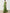 Grass Green Ribbon Pleated Chiffon Maxi Dress