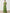 Grass Green Ribbon Pleated Chiffon Maxi Dress
