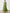 Grass Green Ribbon Pleated Chiffon Maxi Dress