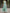Sage Green Satin Chiffon Sleeveless Maxi Dress
