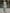 Sage Green Satin Chiffon Sleeveless Maxi Dress
