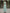 Sage Green Satin Chiffon Sleeveless Maxi Dress