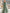 Sage Green Off Shoulder Puff Sleeves Pleated Tulle Maxi Dress