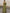 Olive Green One Shoulder Ruffle Sleeve Maxi Dress