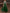 Green Tulle Sequined Floral Three Quarter Sleeve Satin Maxi Dress