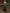 Green Tulle Sequined Floral Three Quarter Sleeve Satin Maxi Dress