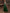 Green Tulle Sequined Floral Three Quarter Sleeve Satin Maxi Dress