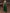 Green Tulle Sequined Floral Three Quarter Sleeve Satin Maxi Dress