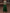 Green Tulle Sequined Floral Three Quarter Sleeve Satin Maxi Dress
