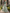 Sage Green Cold Shoulder V-Neck Watercolor Floral Chiffon A-Line Maxi Dress