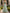 Sage Green Cold Shoulder V-Neck Watercolor Floral Chiffon A-Line Maxi Dress