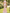 Sleeveless High-necked Peony-print Satin Maxi Dress