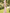Sleeveless High-necked Peony-print Satin Maxi Dress