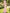 Sleeveless High-necked Peony-print Satin Maxi Dress