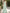 Solid Color One Shoulder 3D Floral Chiffon Maxi Dress